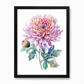 Chrysanthemum 6 Art Print