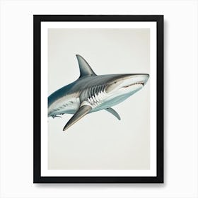 Great White Shark Vintage Art Print