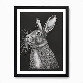 Florida White Blockprint Rabbit Illustration 5 Art Print