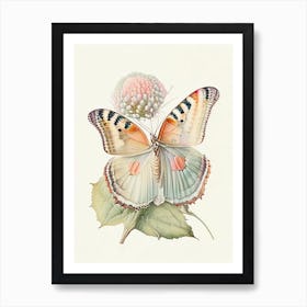 Painted Lady Butterfly Vintage Pastel 1 Art Print