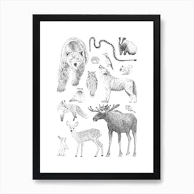 Woodland Animal Print Art Print