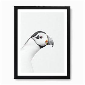 Puffin B&W Pencil Drawing 3 Bird Art Print