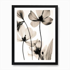 Black And White Flower Silhouette 7 Art Print