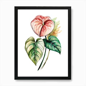 Anthurium Flower 1 Art Print