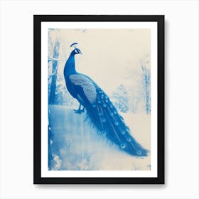 Cyanotype Inspired Peacock Snow Scene 2 Art Print