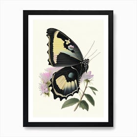 Black Swallowtail Butterfly Vintage Pastel 1 Art Print