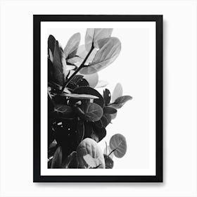 Black And White Leaves 1 Art Print