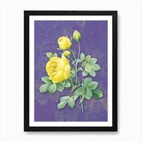 Vintage Yellow Rose Botanical Illustration on Veri Peri n.0017 Art Print
