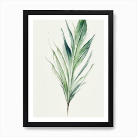 Yucca Leaf Minimalist Watercolour 5 Art Print