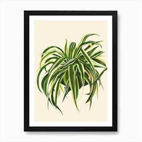 Spider Plant Minimalist Illustration 4 Art Print