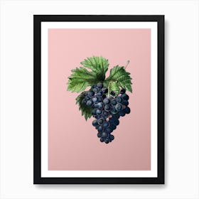 Vintage Grape Vine Botanical on Soft Pink Art Print