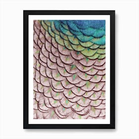 Pink Peacock Art Print