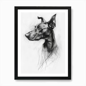 Pinscher Dog Charcoal Line Art Print