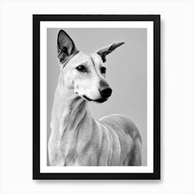 Greyhound B&W Pencil Dog Art Print