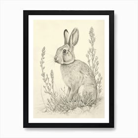 Harlequin Rabbit Drawing 2 Art Print