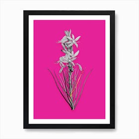 Vintage Yellow Asphodel Black and White Gold Leaf Floral Art on Hot Pink n.0241 Art Print