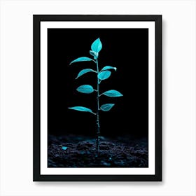 Small Green Plant On Black Background 30 Art Print