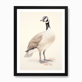 Vintage Bird Drawing Canada Goose 2 Art Print