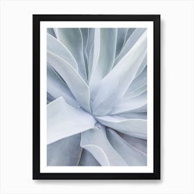 Crystal Cactus Art Print