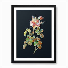 Vintage Four Seasons Rose in Bloom Botanical Watercolor Illustration on Dark Teal Blue n.0266 Art Print