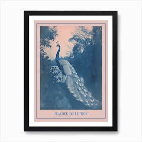 Cyanotype Peacock By The Water Poster Art Print