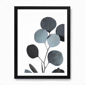 Blue Green Hues Dried Eucalyptus Branches 2 Art Print