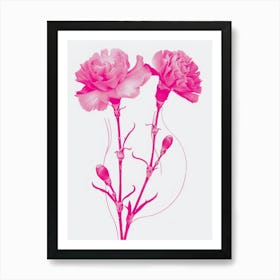 Hot Pink Carnations 1 Art Print