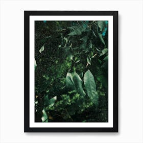 Abstract Greens In The Sun Art Print