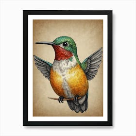 Hummingbird 36 Art Print