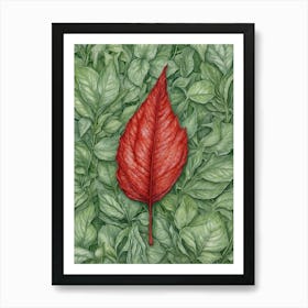 Red Leaf 1 Art Print