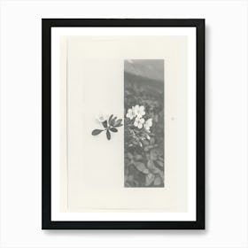 Forget Me Not Flower Photo Collage 2 Art Print