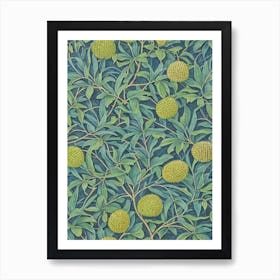 Durian 2 Vintage Botanical Fruit Art Print