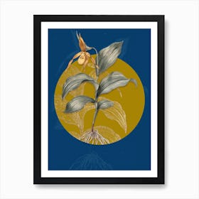 Vintage Botanical Yellow Lady's Slipper Orchid on Circle Yellow on Blue n.0264 Art Print
