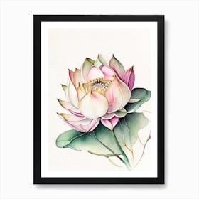 Lotus Flower Pattern Watercolour Ink Pencil 3 Art Print