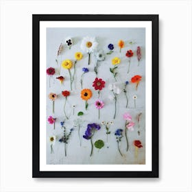 Floral Art Art Print