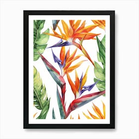 Bird Of Paradise Watercolor Seamless Pattern Art Print