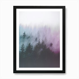 Pacific Northwest Forest Adventures Art Print