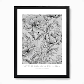 Peacock Flower (Caesalpinia Pulcherrima) 2 B&W Vintage Botanical Poster Art Print