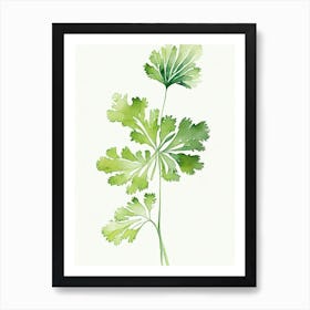 Parsley Leaf Minimalist Watercolour 1 Art Print