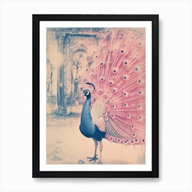 Peacock In A Palace Cyanotype Inspired 3 Art Print