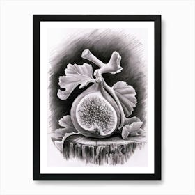 Fig art Art Print