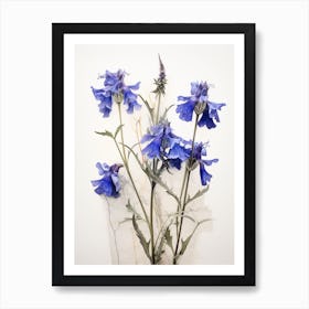 Pressed Wildflower Botanical Art Lobelia 2 Art Print