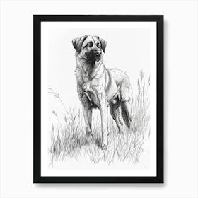 Anatolian Shepherd Dog Line Sketch 3 Art Print