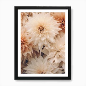 Boho Dried Flowers Dahlia 1 Art Print