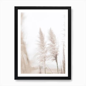 Neutral Beach Grass Poster