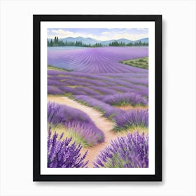 Vast Purple Lavender Field Extending Into The Distance Art Print