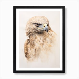 Vintage Bird Drawing Eagle 3 Art Print