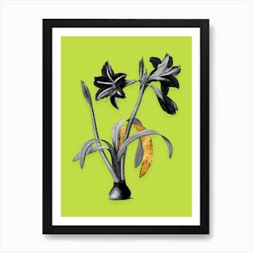 Vintage Brazilian Amaryllis Black and White Gold Leaf Floral Art on Chartreuse n.1228 Art Print