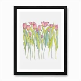 Pink Tulips Art Print