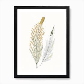 Horsetail Spices And Herbs Pencil Illustration 2 Poster